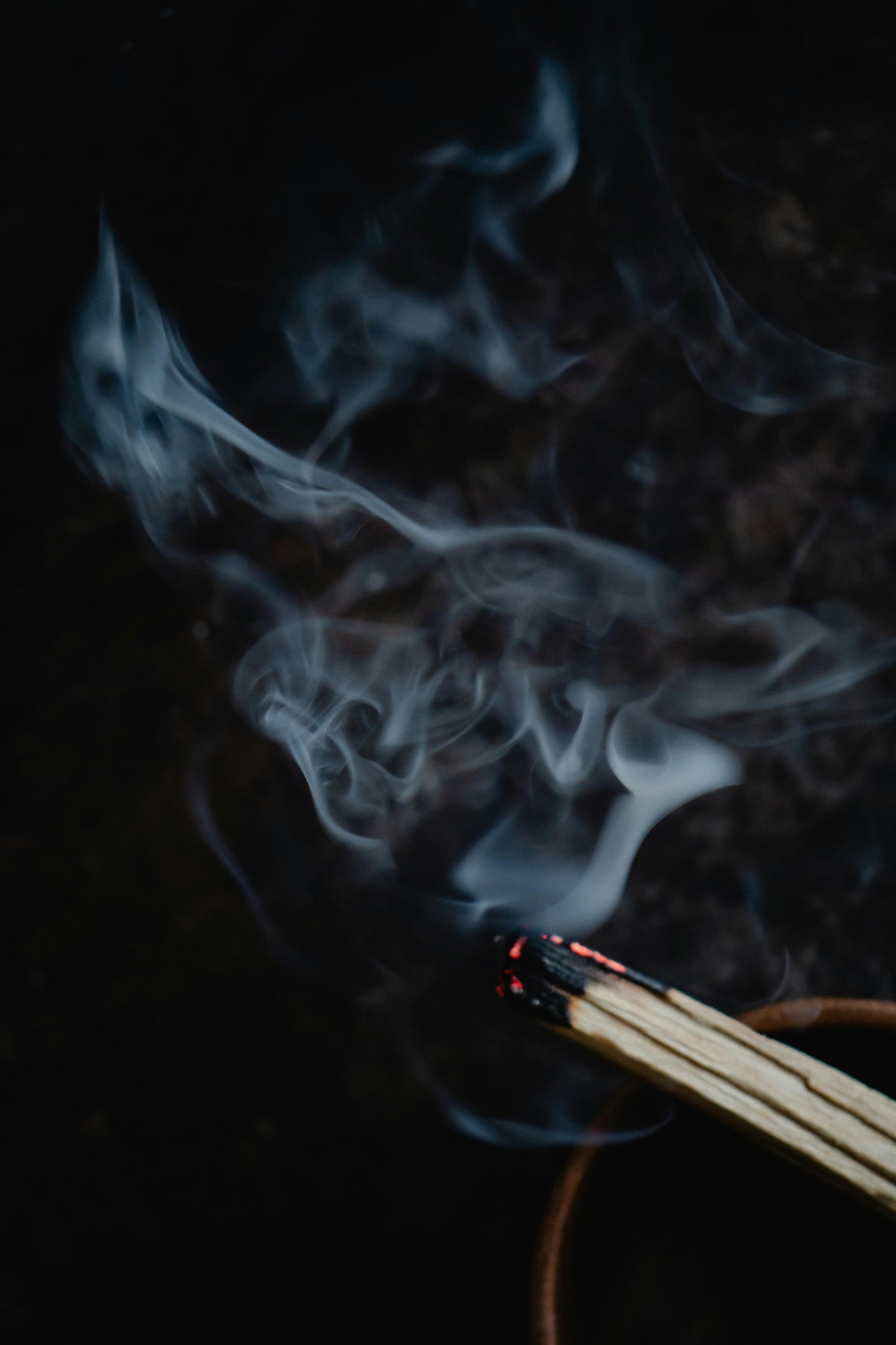 Ecuadorian Palo Santo Bundle